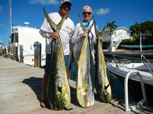 FL Keys Dolphin Fishing