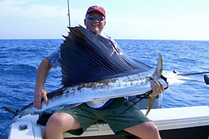 Florida Sailfish